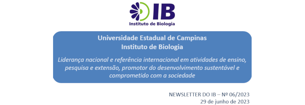 Newsletter IB Junho-23