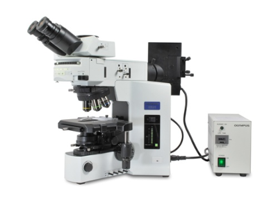 Microscópio de fluorescência BX51, Olympus.