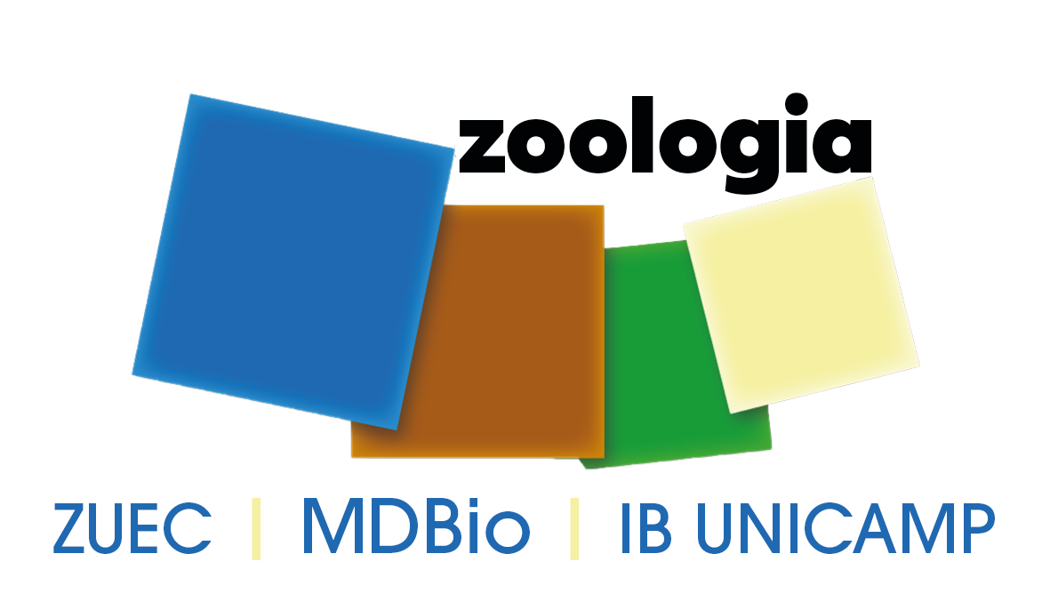 Museu de Diversidade Biológica - Zoologia